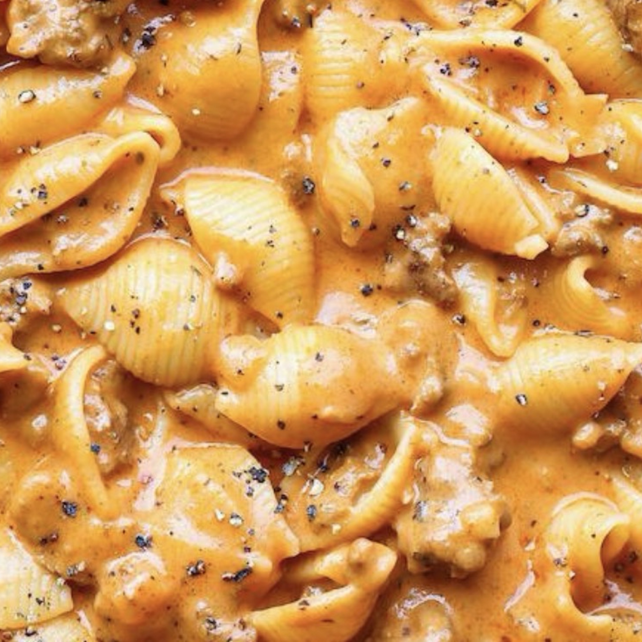 Creamy Beef and Shells recipe