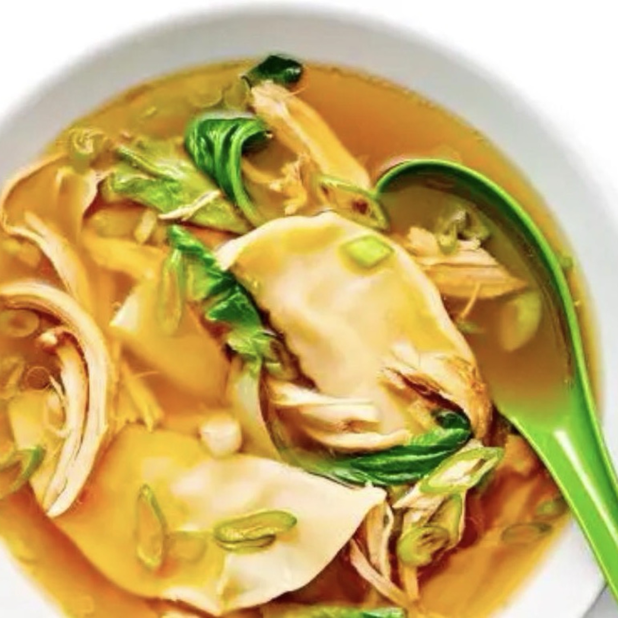 Chicken Soup with Dumplings recipe